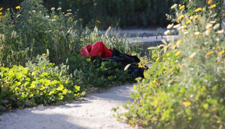 Dejan Maleta Con Restos Humanos A Un Costado De La Fiscal A Esquina