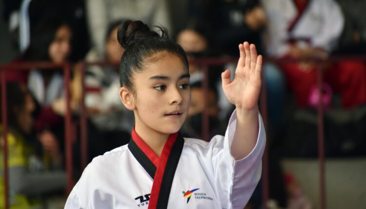 taekwondo3