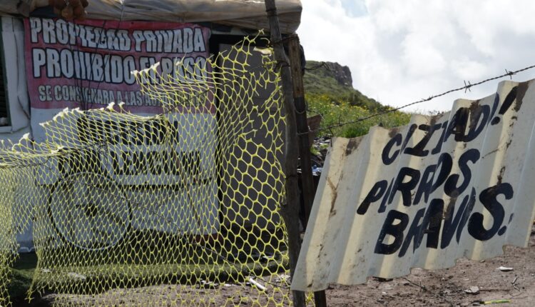 Rescate de perros, municipales, Ensenada 5