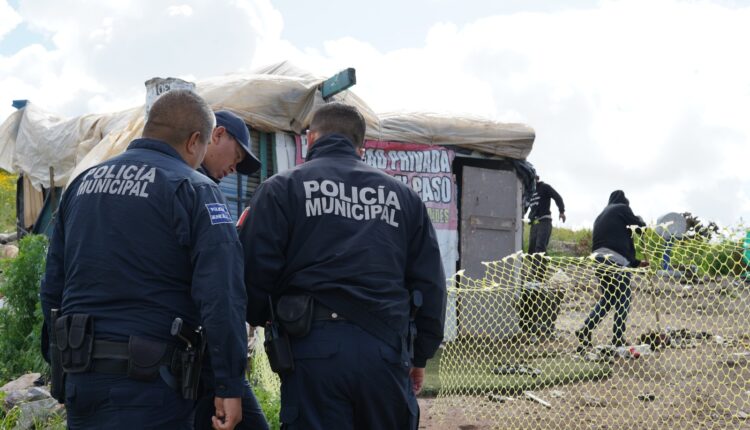 Rescate de perros, municipales, Ensenada