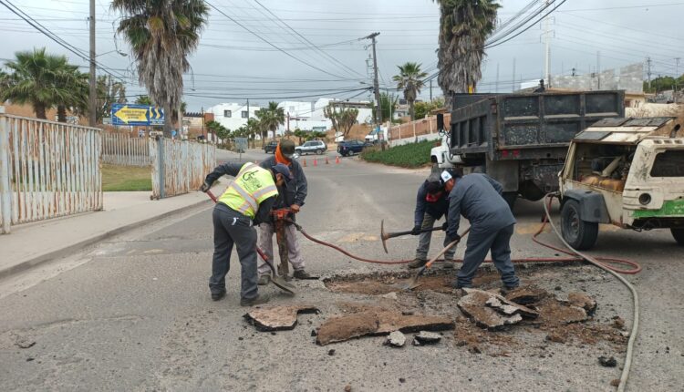 Limpieza, Rosarito5