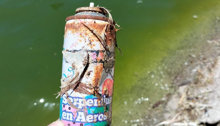 Contaminación, lago Parque Morelos2