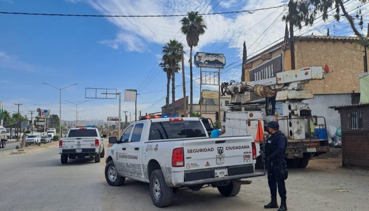 cámaras de seguridad, operativo