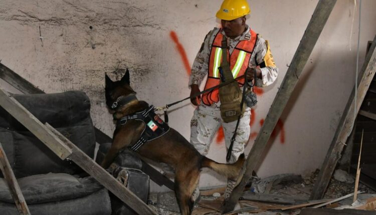 Ejército, Fuerzas Amigas, rescate, sismo (2)