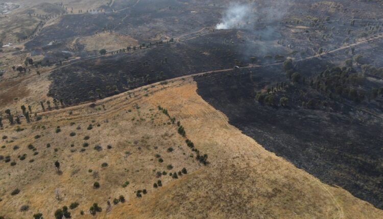 Incendio Santa Anita 1