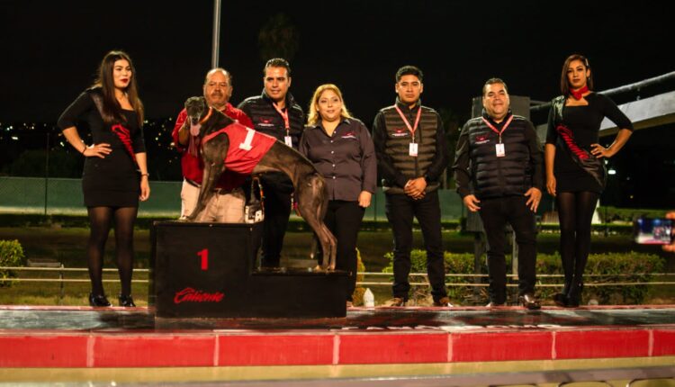 Noche de casino, Cambiando los corazones de México TJ