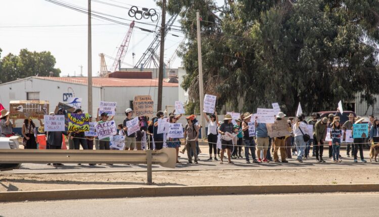 Protesta, El Sauzal10