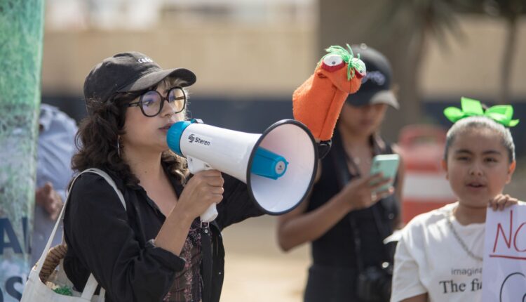 Protesta, El Sauzal3