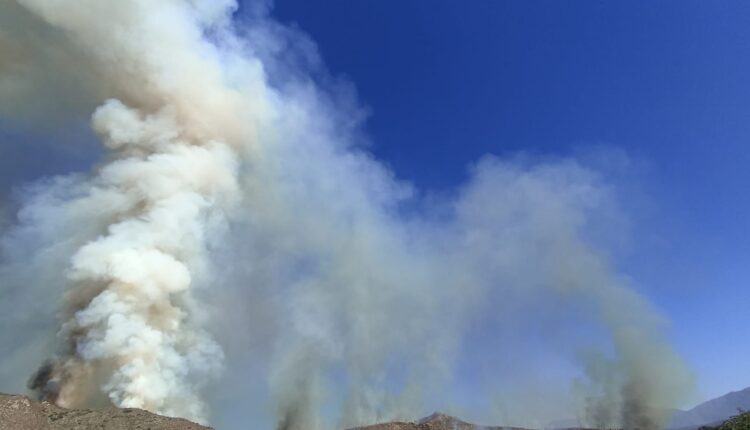 Incendios forestal, Ensenada (2)