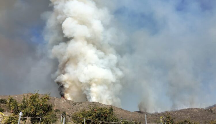 Incendios forestal, Ensenada