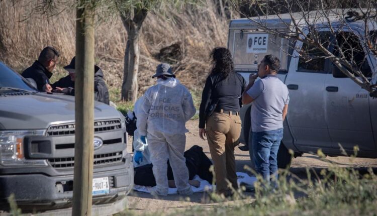 CRIMEN, ENCOBIJADO, EL MIRADOR1