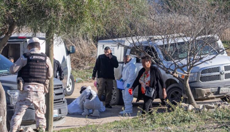 CRIMEN, ENCOBIJADO, EL MIRADOR3