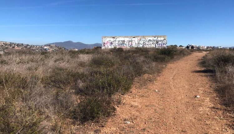 Perros salvajes Ensenada 1