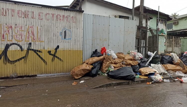 Basura, colonia Durango