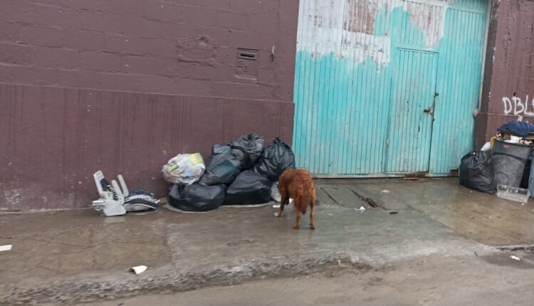 Basura, colonia Durango3