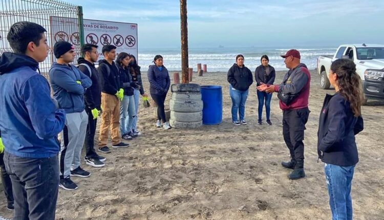 Limpieza playa Rosarito