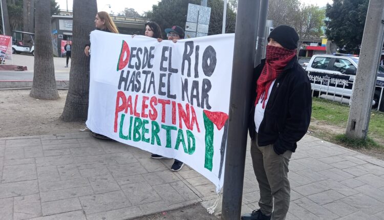 Manifestación Palestina 1