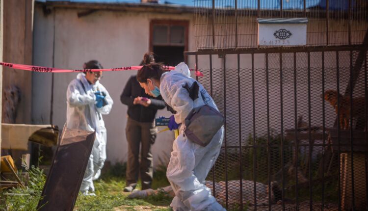 Crimen, colonia Artesanal, encobijado