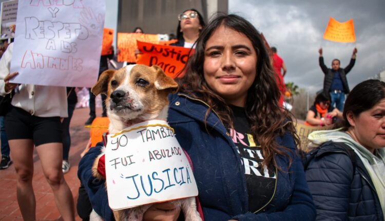 Manifestación Maltrato Animal Tijuana 1