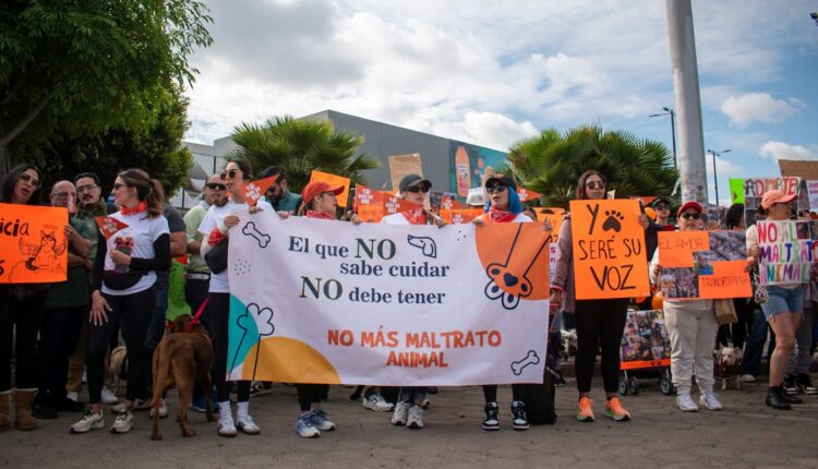 Manifestación Maltrato Animal Tijuana