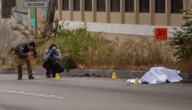 Atropellado avenida Internacional