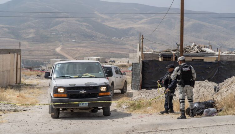 Cuerpo policía colonia Las Torres 2