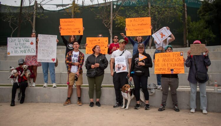 Manifestación control animal