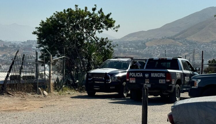 Asesinato fraccionamiento Alameda 1