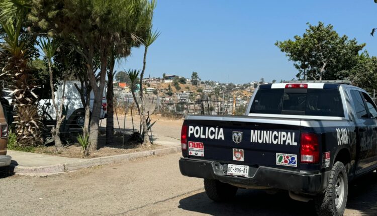 Asesinato fraccionamiento Alameda