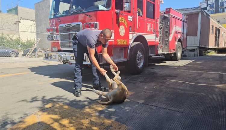 Chicho Bomberos 1