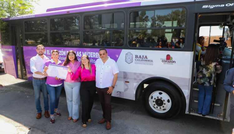 Marina del Pilar Ávila – Transporte Violeta