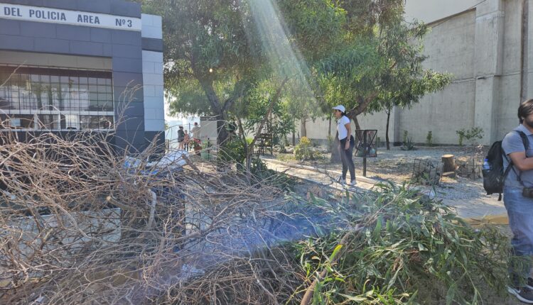 Predio Bomberos colonia Juárez 7