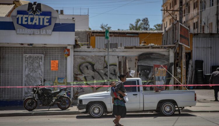 Asesinado picadero Zona Centro 2