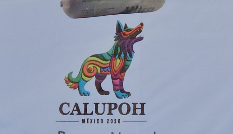 El camino de Calupoh 4