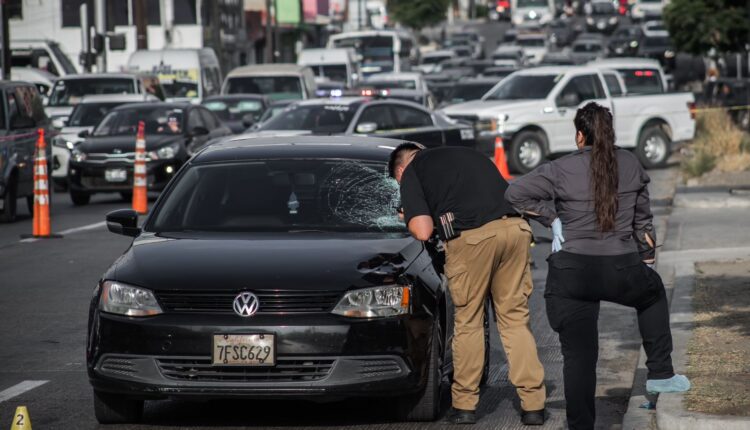 Indigente atropellado calle Segunda 1