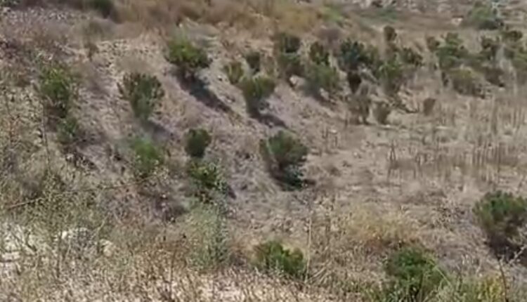 Obras Hacienda Agua Caliente 3