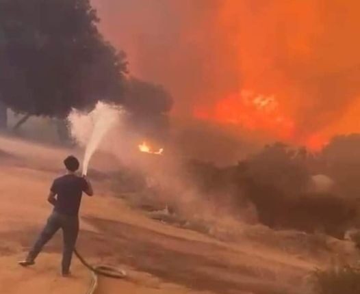 Incendio Cerro Azul Tecate 1