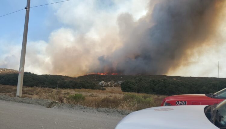 Incendio Cerro Azul Tecate 2