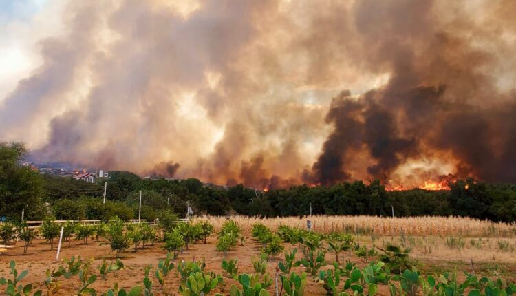 Incendio Tecate