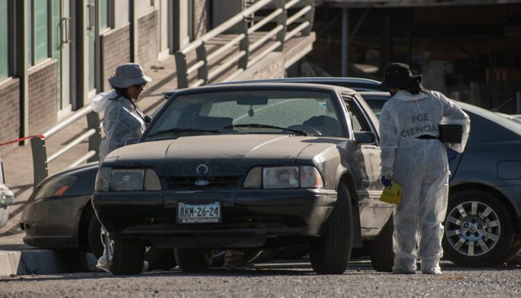 Cuerpo Mustang Libertad 1