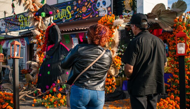 Floristas Zona Centro 4