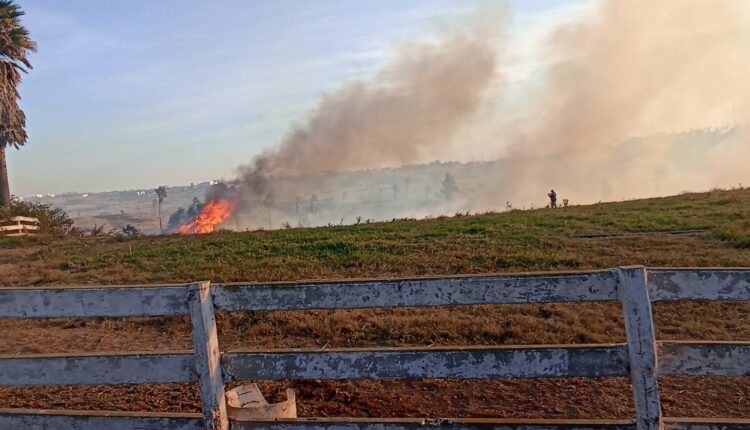 Incendio forestal Real del Mar