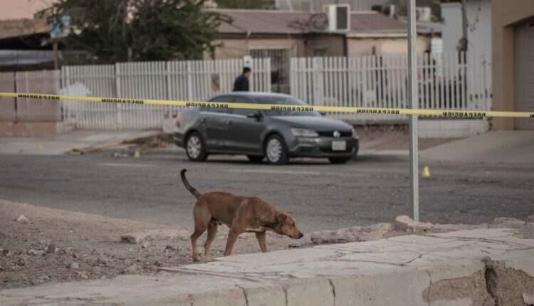 Riña vecinos Mexicali 3