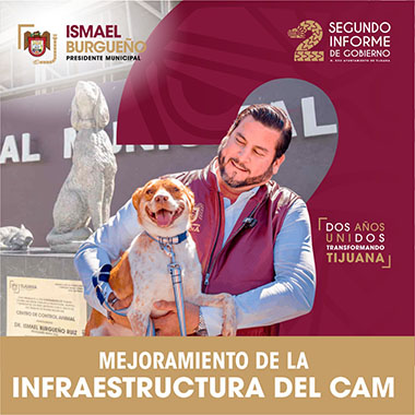 Ayuntamiento Tijuana predial cuadrado