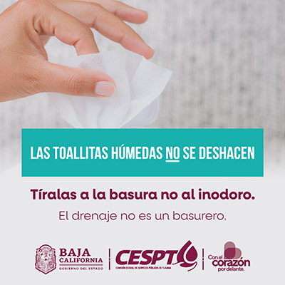 CESTP cuadrada