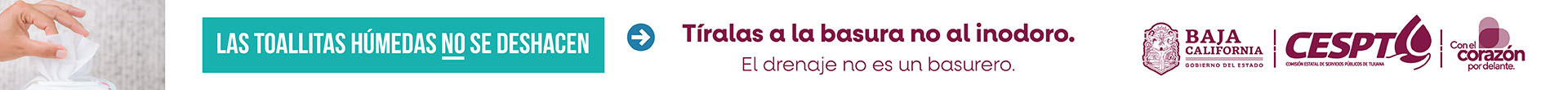 CESPT Banner Largo Horizontal